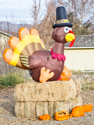 http://www.dreamstime.com/stock-photography-big-inflatable-turkey-thanksgiving-decorations-old-pumpkins-image46747962